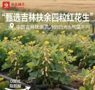<b>其正正在进一步升级内容审</b>